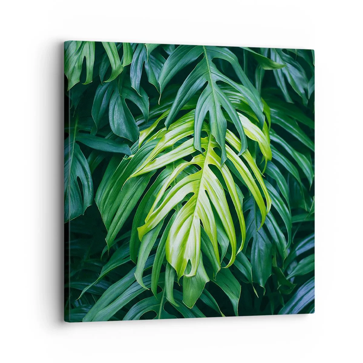 Quadro su tela - Stampe su Tela - Immergersi nella freschezza - 30x30 cm