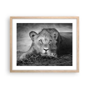 Poster in cornice rovere chiaro - Cucciolo reale - 50x40 cm