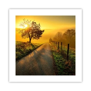 Poster - Pomeriggio di miele - 40x40 cm