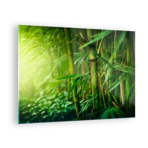 Quadro su vetro - Foresta di bambù verde al sole - 70x50cm - Conoscere il verde in sé - Decorazione murale moderna per soggiorno e camera da letto ARTTOR