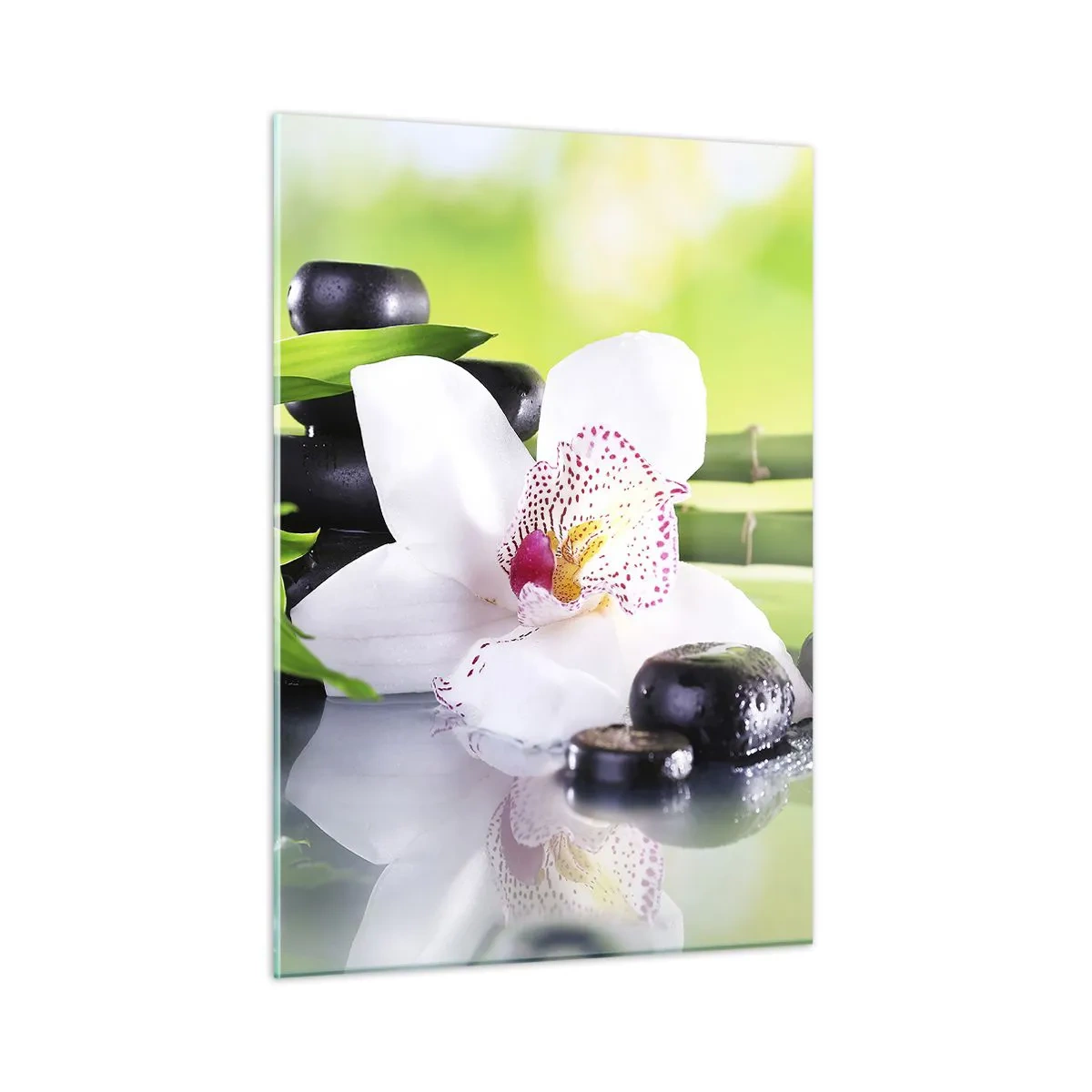 Quadro su vetro - Orchidea, bambù e pietre nere su sfondo verde - 50x70cm - Freschezza rinfrescante - Decorazione murale moderna per soggiorno e camera da letto ARTTOR