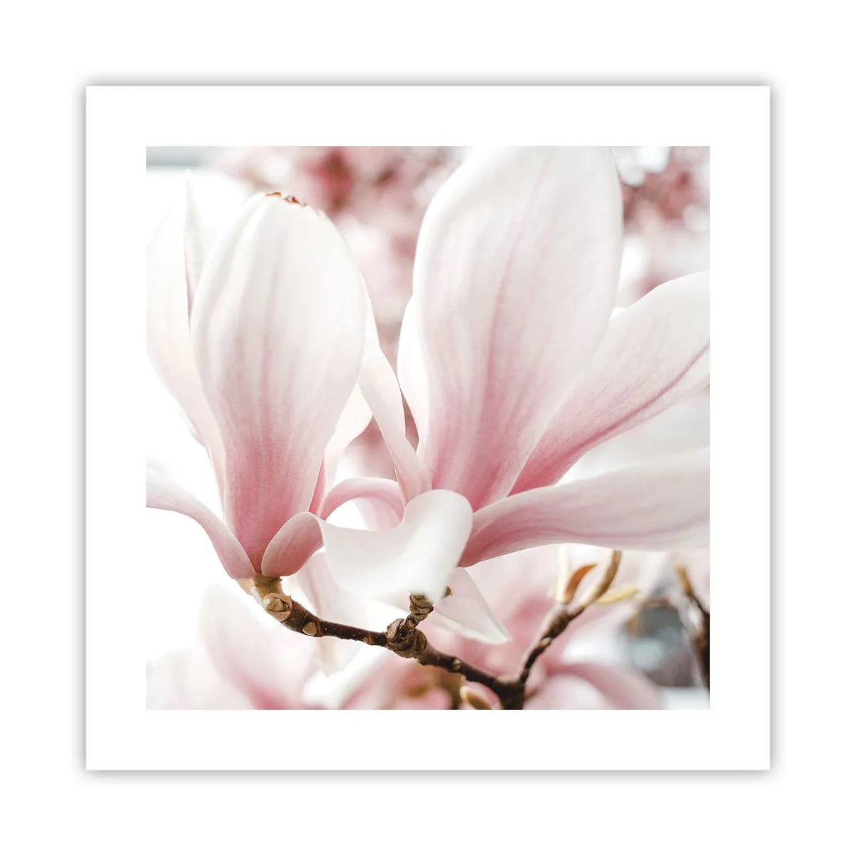 Poster - Tenerezza senza fine - 40x40 cm