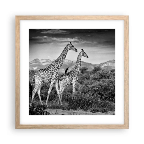 Poster in cornice rovere chiaro - Alta classe in Africa - 40x40 cm