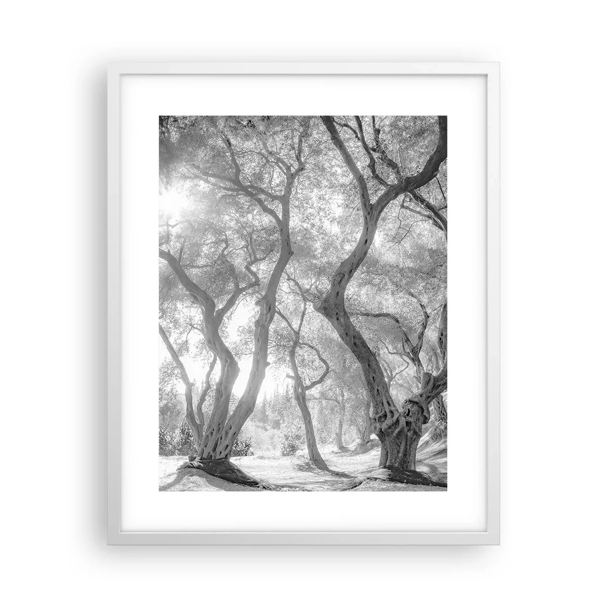 Poster in cornice bianca - Nell'orto degli ulivi - 40x50 cm