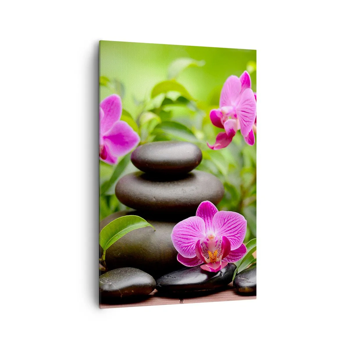 Quadro su tela - Stampe su Tela - Orchidee rosa con pietre su sfondo verde - 80x120cm - Piramide di pace - Decorazione murale moderna per soggiorno e camera da letto ARTTOR