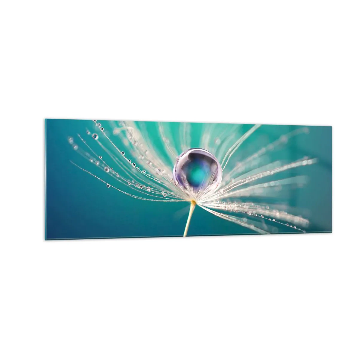 Quadro su vetro - Macro di una goccia d'acqua su un delicato seme di tarassaco - 140x50cm - Attimo mistico - Decorazione murale moderna per soggiorno e camera da letto ARTTOR