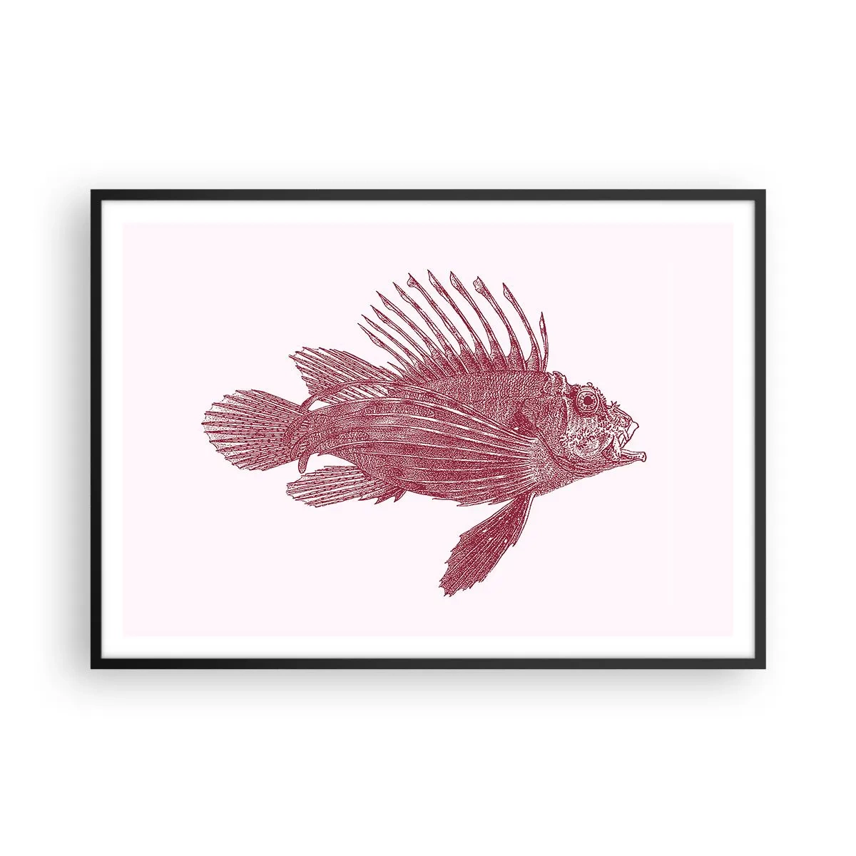Poster in cornice nera - Disegno di un pesce in tonalità rossa - 100x70cm - Abitante di mari esotici - Decorazione murale moderna per soggiorno e camera da letto ARTTOR