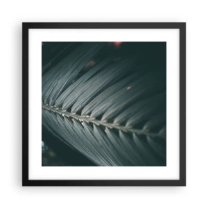 Poster in cornice nera - La precisione della natura - 40x40 cm