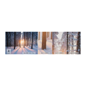 Campione di Fotomurale Premium Canvas - Decisamente nero su bianco - Paesaggio, foresta, Nevicare - 100x30 cm
