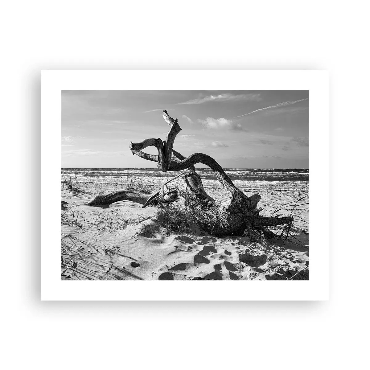 Poster - Scolpito dal mare - 50x40 cm