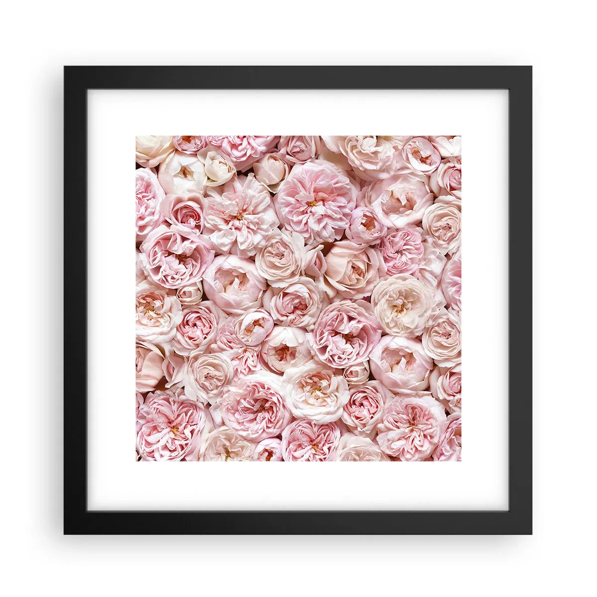 Poster in cornice nera - Coperto di rose - 30x30 cm
