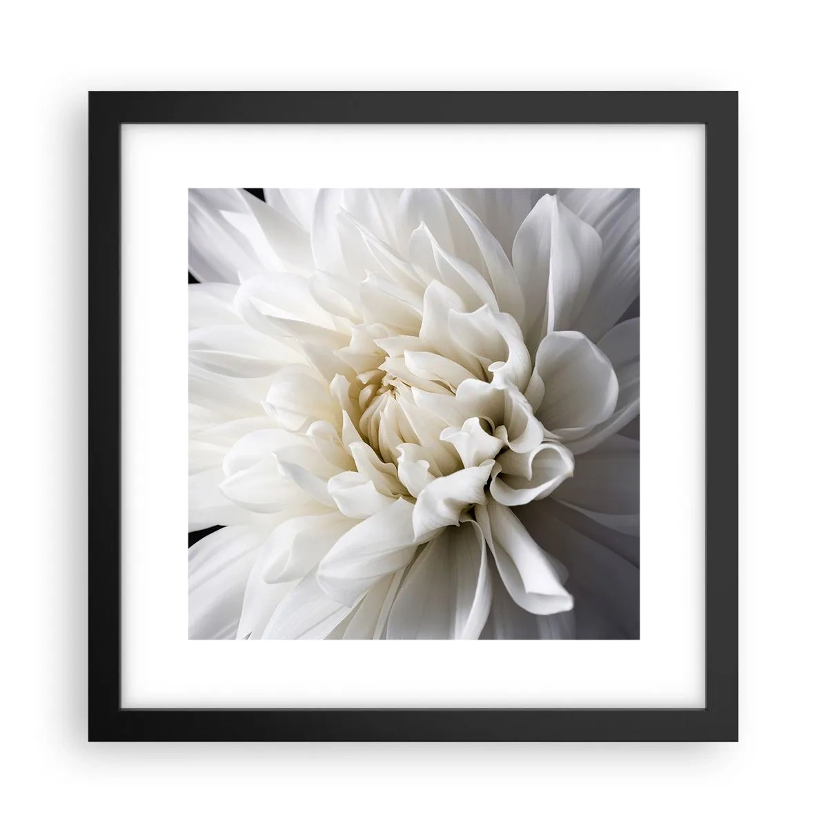Poster in cornice nera - Il mattino della sposa - 30x30 cm
