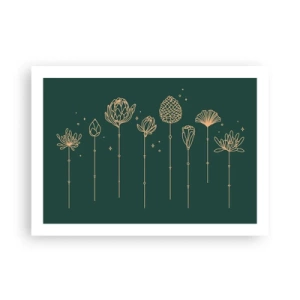 Poster - La famiglia delle erbe - 70x50 cm