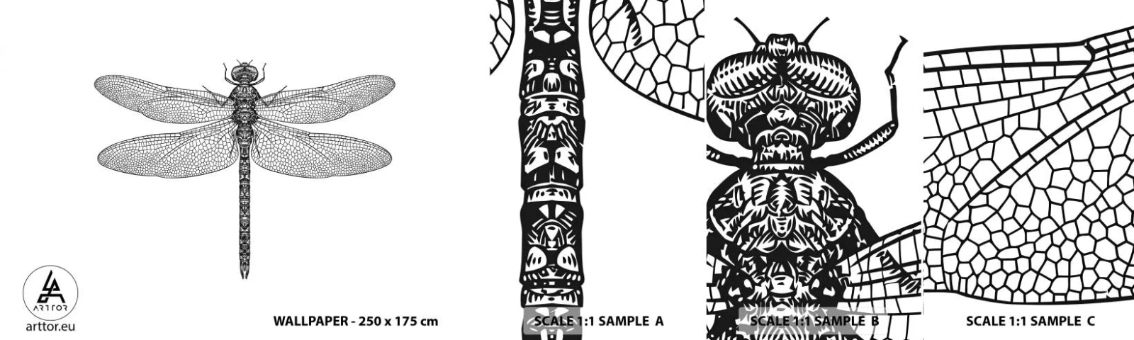 Campione Di Fotomurale Standard Eco - La precisione della natura - Libellula, Insetto, Minimalista - 100x30 cm