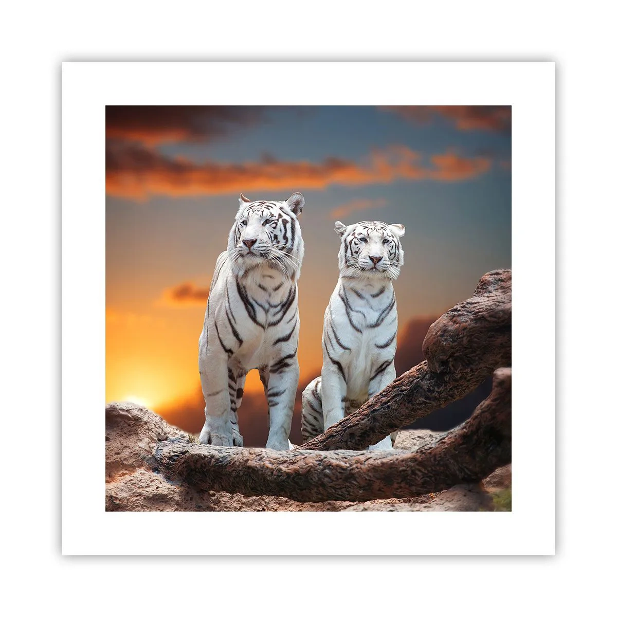 Poster - Proprio come a Narnia - 40x40 cm