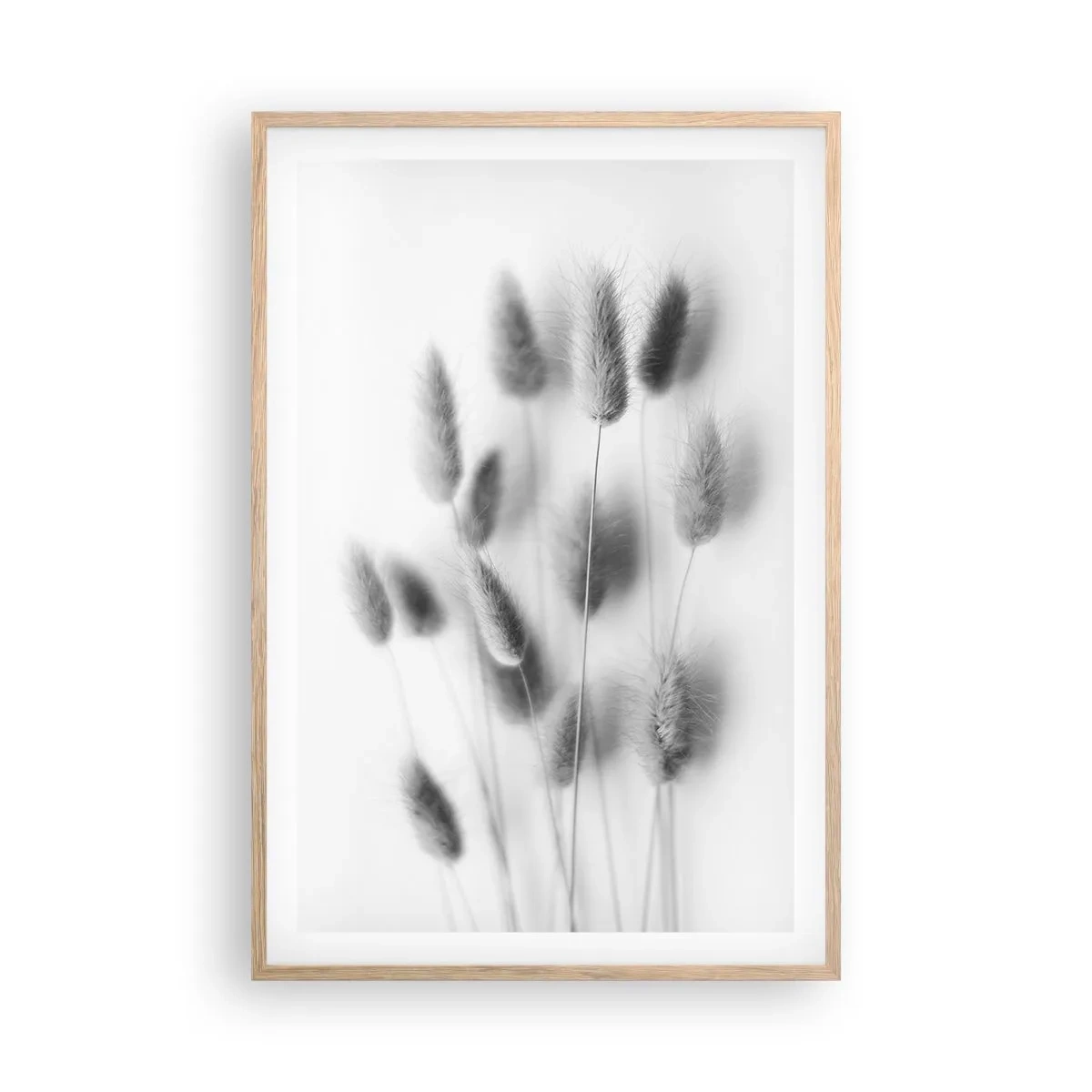 Poster in cornice rovere chiaro - Erba soffice - 61x91 cm