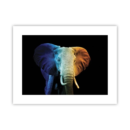 Poster - Eccentrico, non strano - 40x30 cm