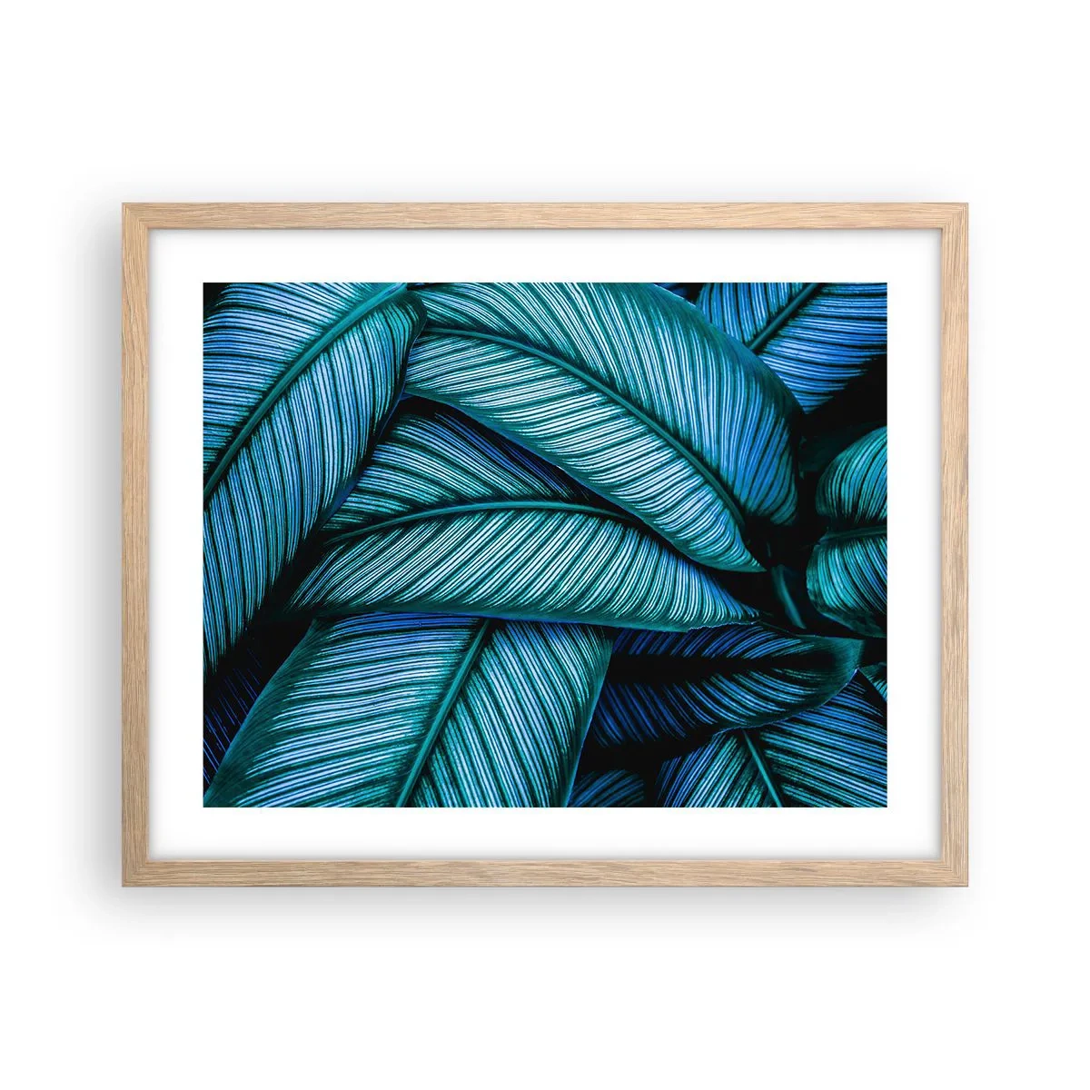 Poster in cornice rovere chiaro - Le linee della vita - 50x40 cm