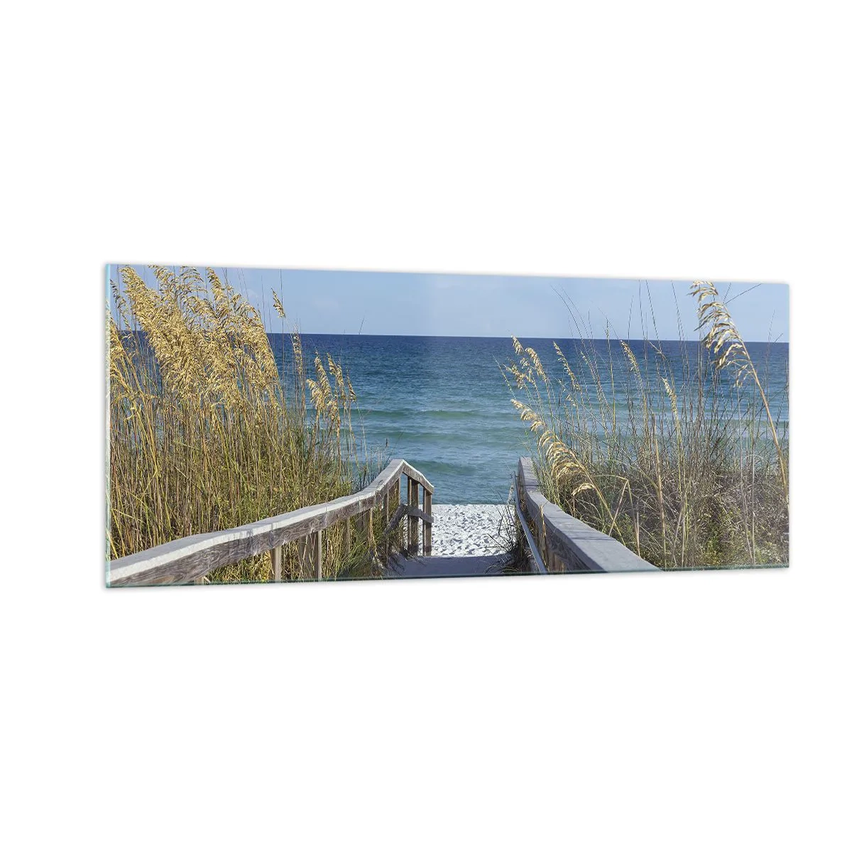 Quadro su vetro - Al sole, al vento - 100x40 cm