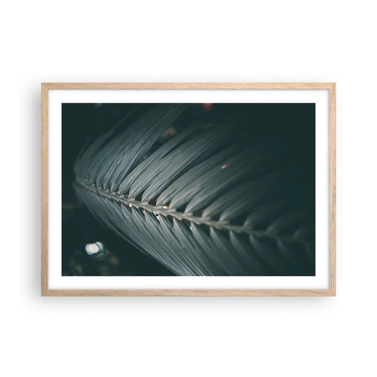 Poster in cornice rovere chiaro - La precisione della natura - 70x50 cm