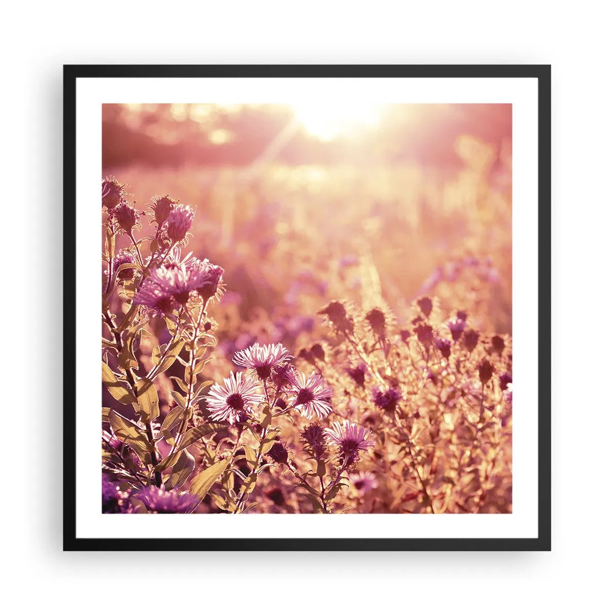 Poster in cornice nera - Prima della fine dell'estate - 60x60 cm