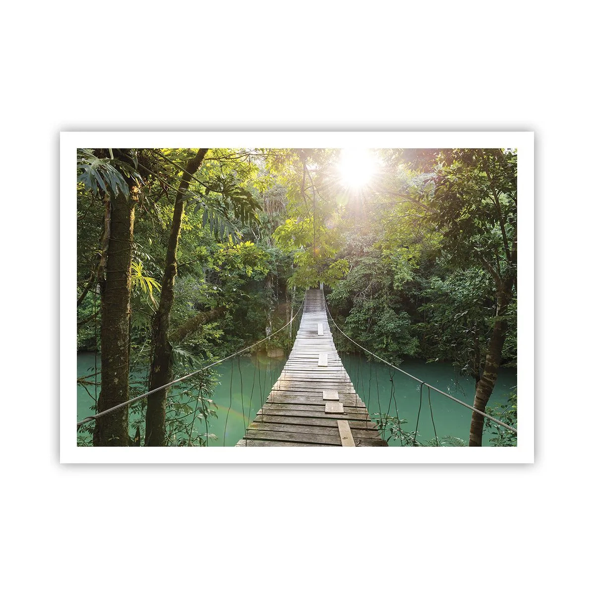 Poster - Un ponte sospeso in una foresta tropicale illuminato dalla luce del sole. - 100x70cm - Sull'acqua azzurra verso il bosco azzurro - Decorazione murale moderna per soggiorno e camera da letto ARTTOR