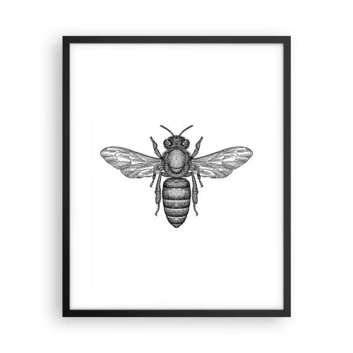 Poster in cornice nera - Ritratto d'insetto - 40x50 cm