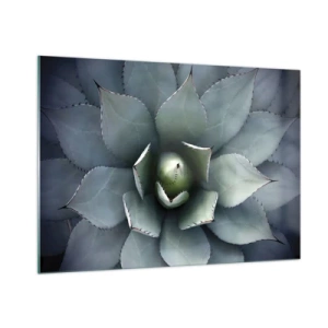 Quadro su vetro - Un primo piano delle foglie simmetriche dell'agave color acciaio. - 100x70cm - Adesca e minaccia - Decorazione murale moderna per soggiorno e camera da letto ARTTOR