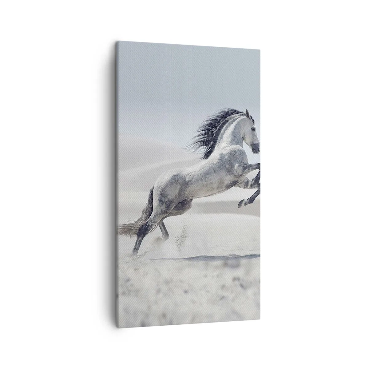 Quadro su tela - Stampe su Tela - Il principe arabo - 45x80 cm