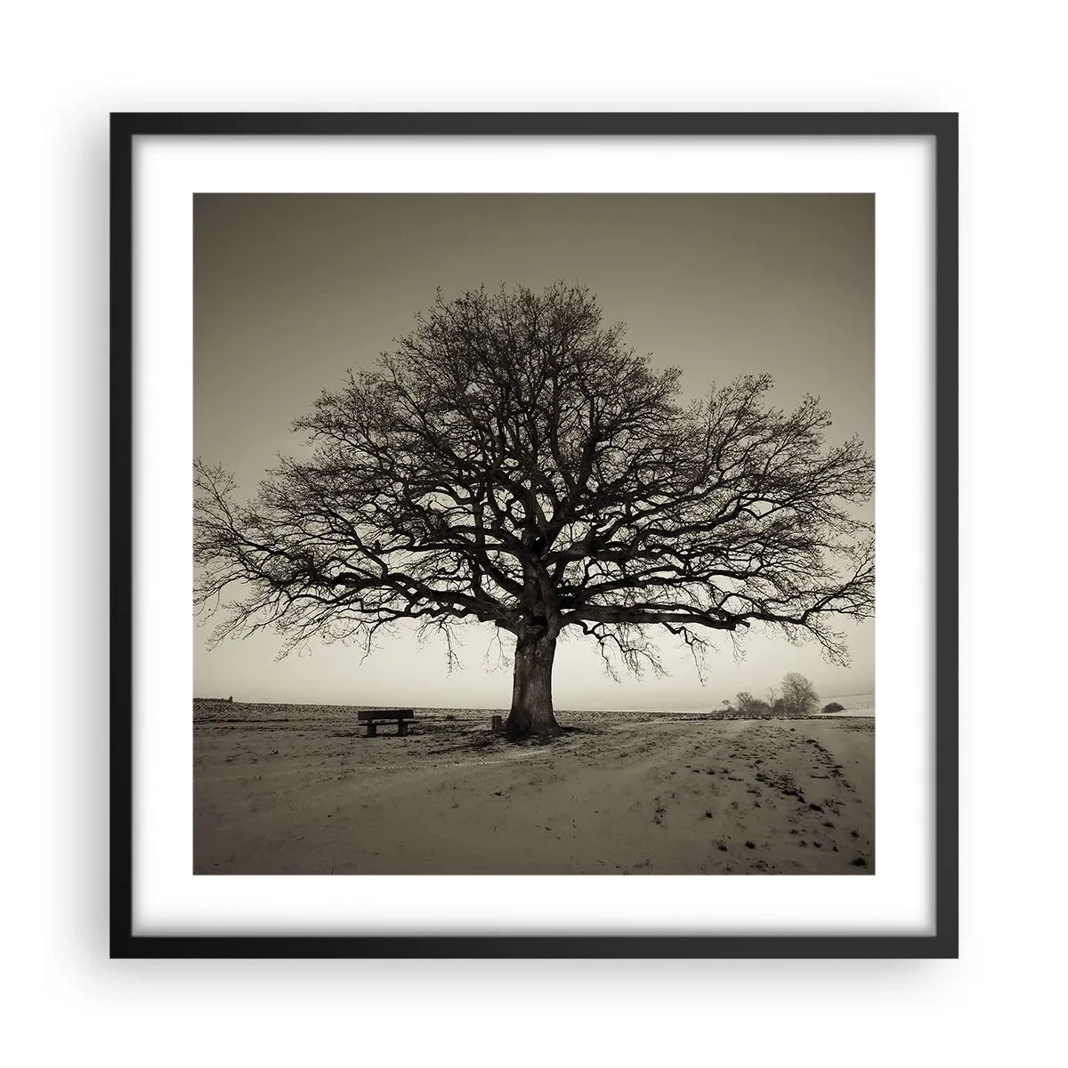 Poster in cornice nera - Da qui all'eternità - 50x50 cm