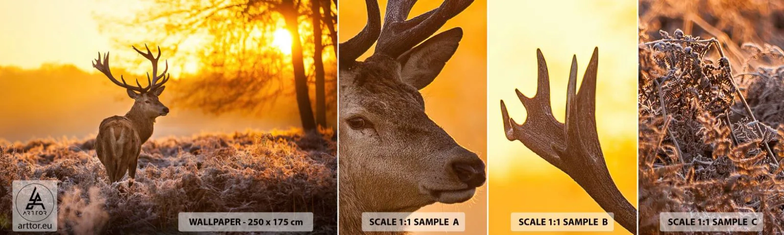 Campione Di Fotomurale Standard Eco - Il re del bosco estivo - Paesaggio, Cervo, Natura - 100x30 cm