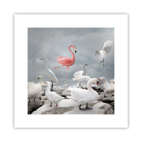 Poster - Come sono arrivato qui? - 30x30 cm
