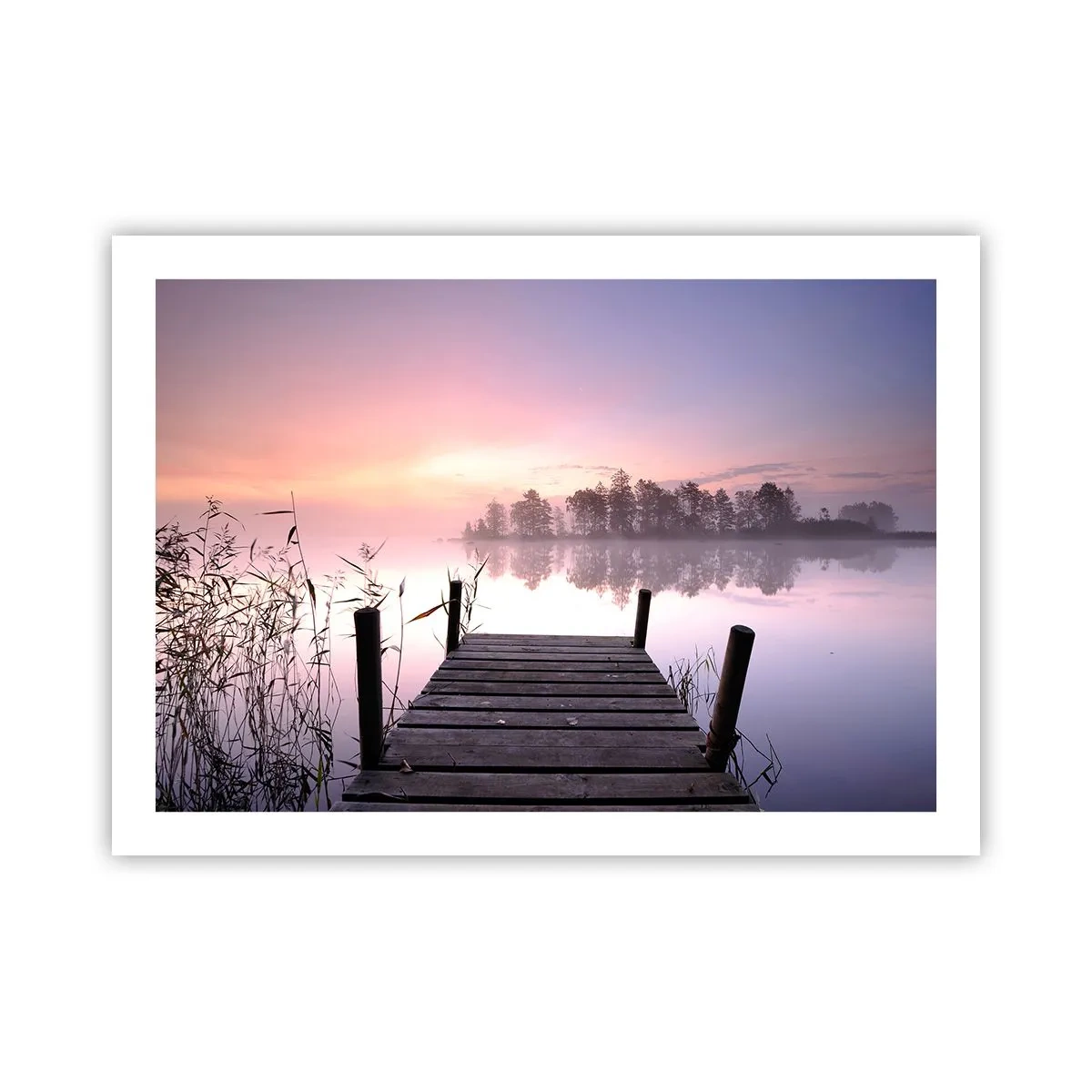 Poster - Nebbia color lilla - 70x50 cm