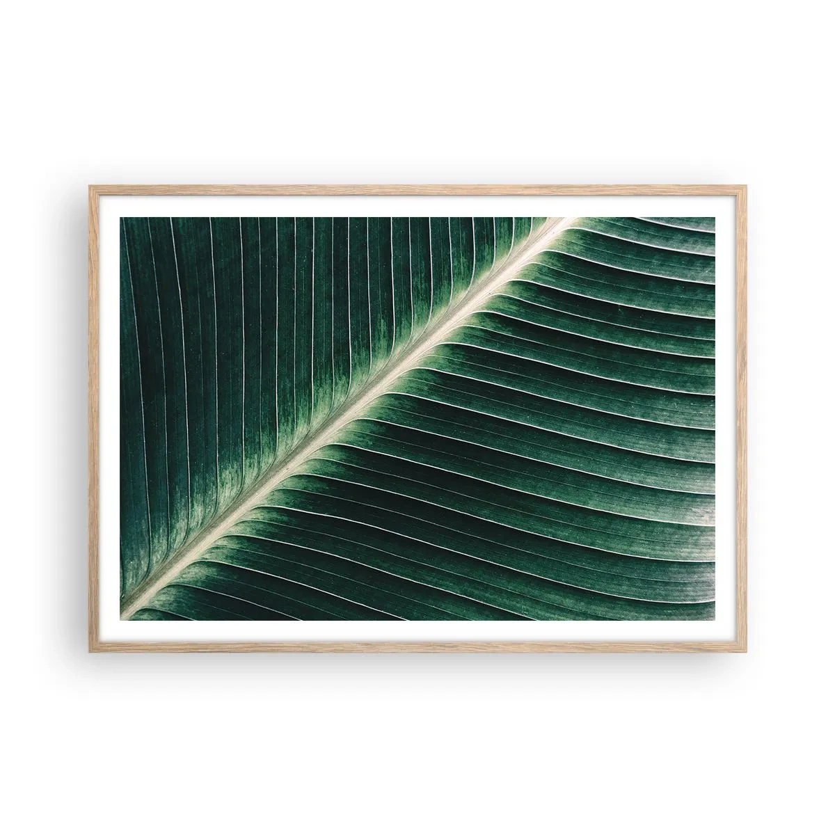 Poster in cornice rovere chiaro - Il ritmo della natura - 100x70 cm