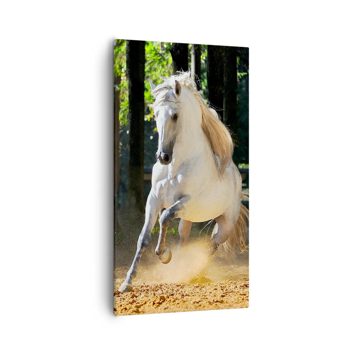 Quadro su tela - Stampe su Tela - Come nei racconti fantasy - 55x100 cm