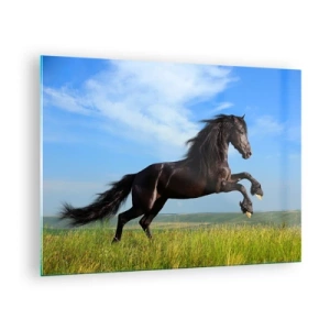 Quadro su vetro - Un cavallo nero al galoppo contro un cielo azzurro e un prato verde. - 70x50cm - Coinvolgente manifesto di libertà - Decorazione murale moderna per soggiorno e camera da letto ARTTOR