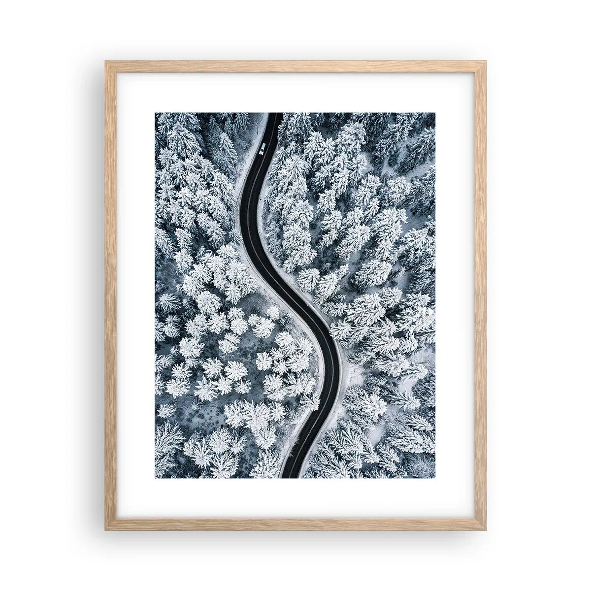 Poster in cornice rovere chiaro - Attraverso il bosco invernale - 40x50 cm