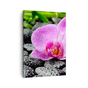 Quadro su tela - Stampe su Tela - Orchidea rosa su pietre nere bagnate con foglie verdi - 50x70cm - Come un cuore aperto - Decorazione murale moderna per soggiorno e camera da letto ARTTOR