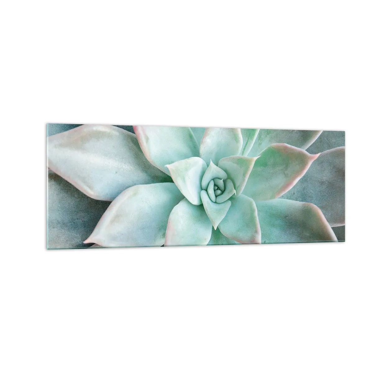Quadro su vetro - Primo piano di una succulenta verde - 140x50cm - Il cuore del deserto - Decorazione murale moderna per soggiorno e camera da letto ARTTOR