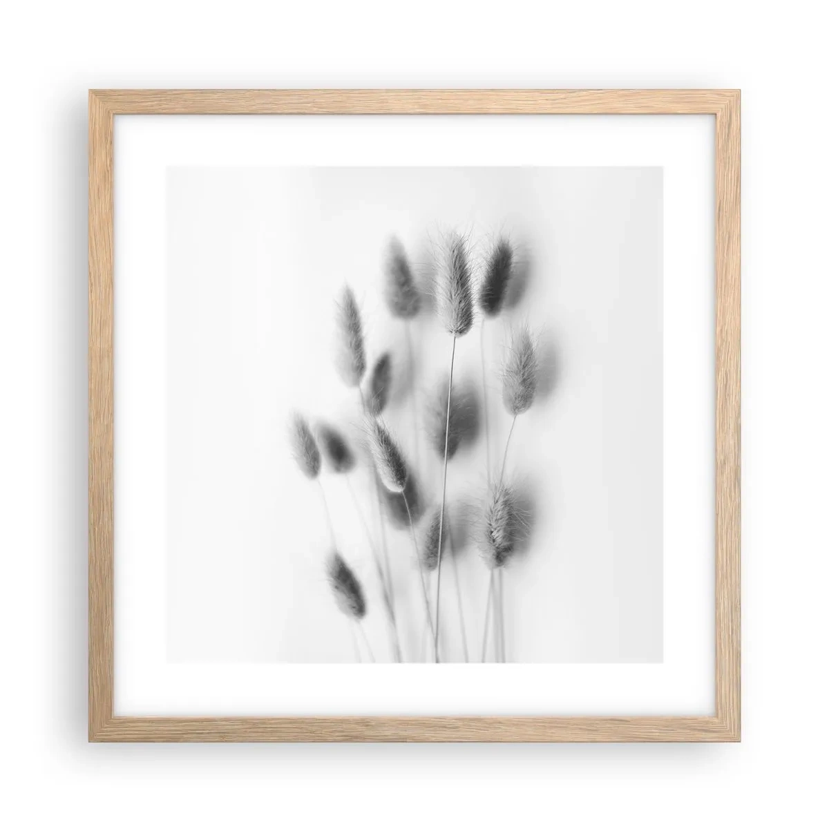Poster in cornice rovere chiaro - Erba soffice - 40x40 cm