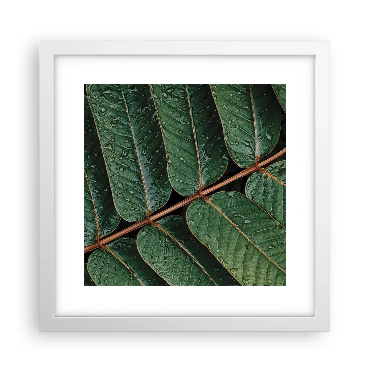 Poster in cornice bianca - Al ritmo verde - 30x30 cm