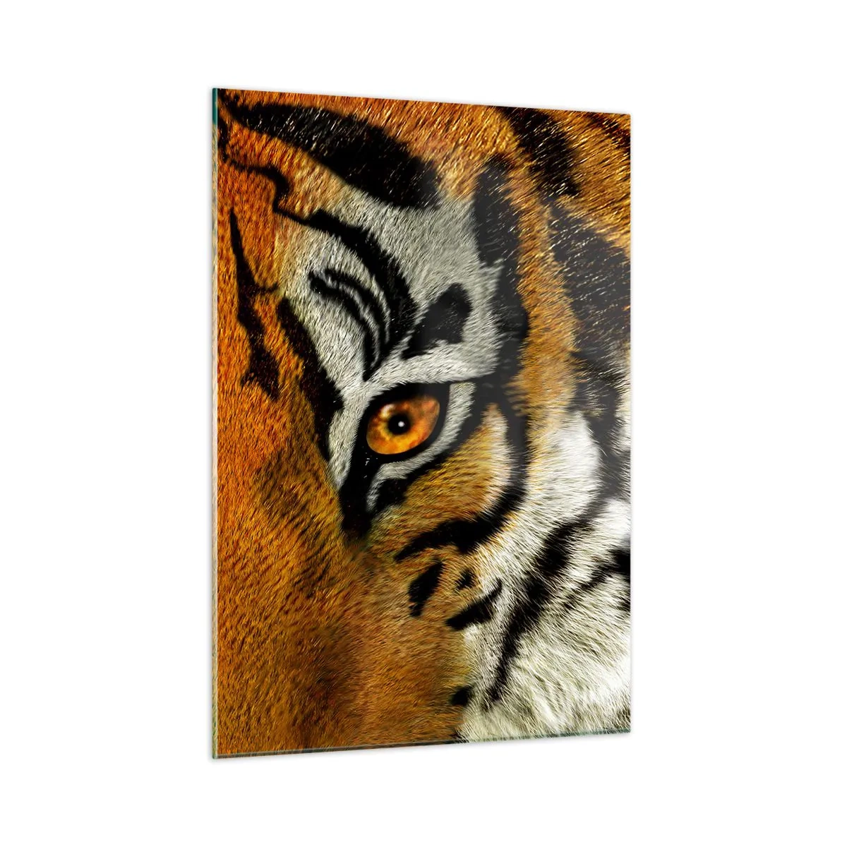 Quadro su vetro - Primo piano dello sguardo intenso della tigre - 50x70cm - Minacciosa e bella - Decorazione murale moderna per soggiorno e camera da letto ARTTOR