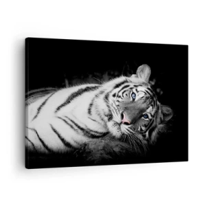 Quadro su tela - Stampe su Tela - Una tigre bianca artisticamente raffigurata su uno sfondo nero - 70x50cm - Selvaggità e pace - Decorazione murale moderna per soggiorno e camera da letto ARTTOR
