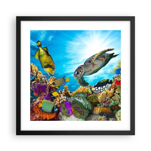 Poster in cornice nera - Passeggiata corallina - 40x40 cm