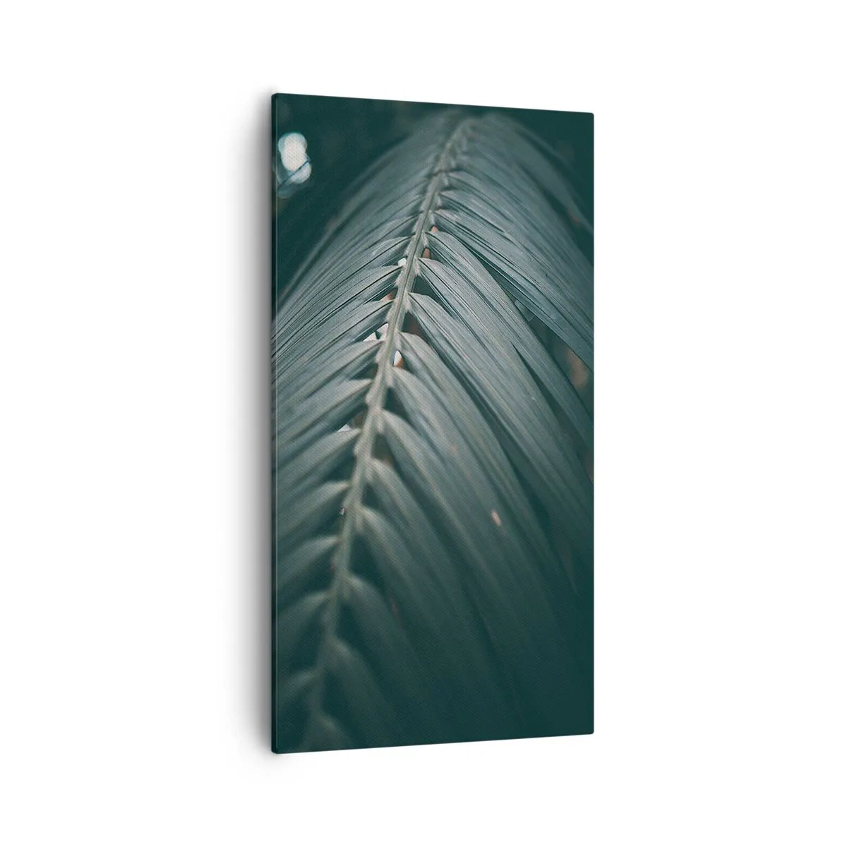 Quadro su tela - Stampe su Tela - La precisione della natura - 55x100 cm