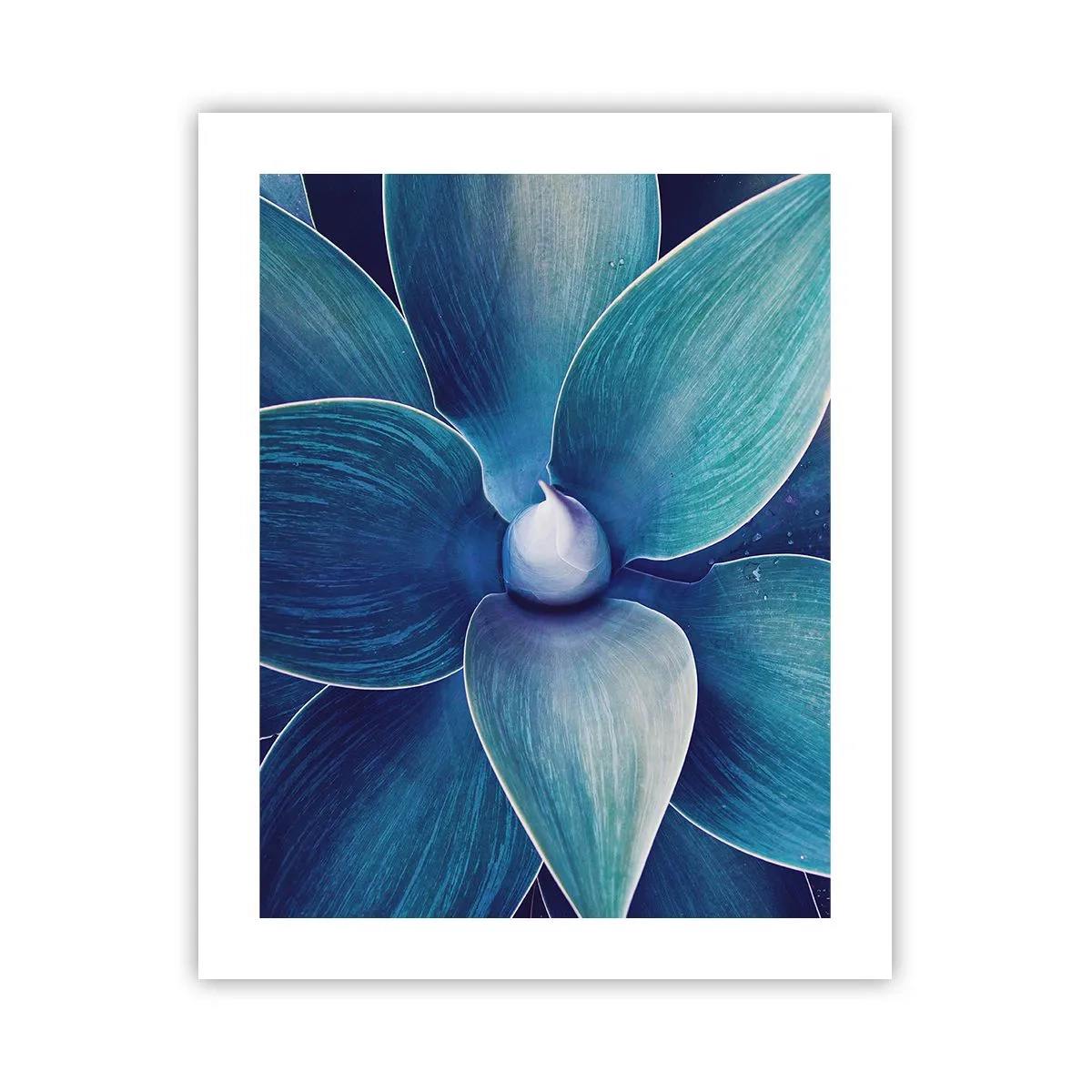 Poster - Imbluito dal sole - 40x50 cm