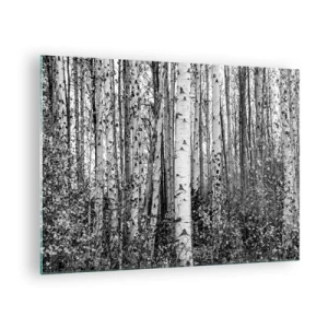 Quadro su vetro - Betulle bianche e nere creano un paesaggio forestale denso - 70x50cm - Colonnato di betulle - Decorazione murale moderna per soggiorno e camera da letto ARTTOR
