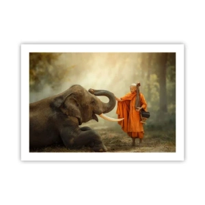 Poster - Incontro nel viaggio - 70x50 cm