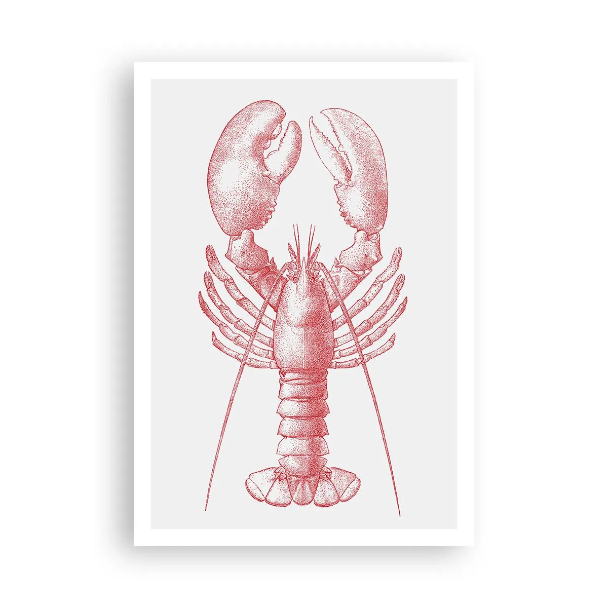 Poster - Aragosta d'agosto - 70x100 cm