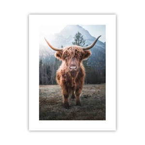 Poster - Saluti dal prato montano - 30x40 cm